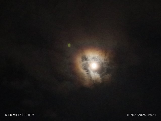 1000046815.jpg