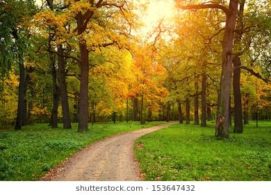 fall-season-park-pathway-between-260nw-153647432-1.jpg