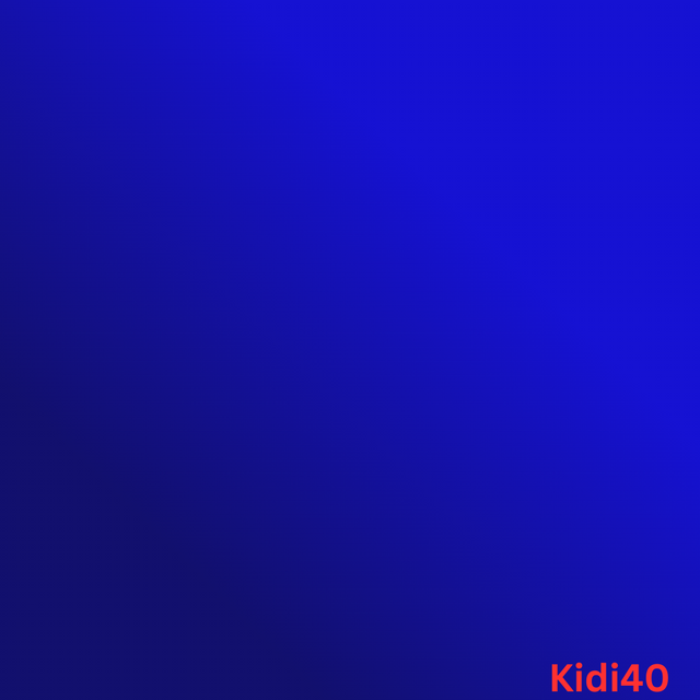 kidi40_20241103_231158_0000.png