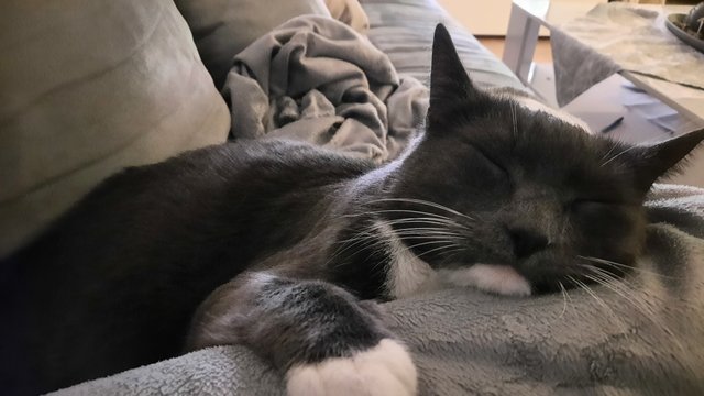 20210113_211442.jpg
