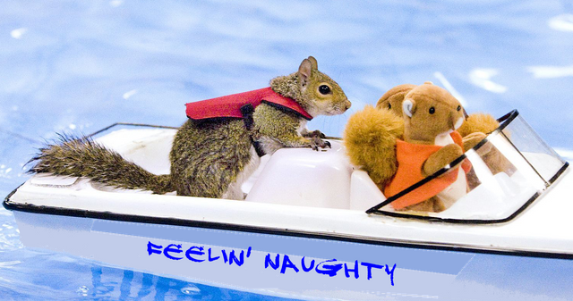 squirrel boat.png