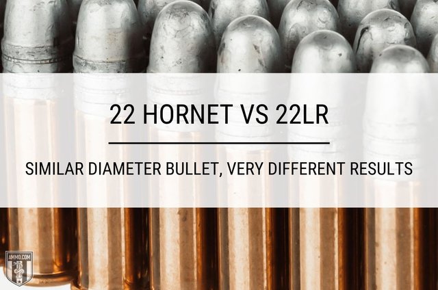 22-hornet-vs-22-lr-hero-image.jpg