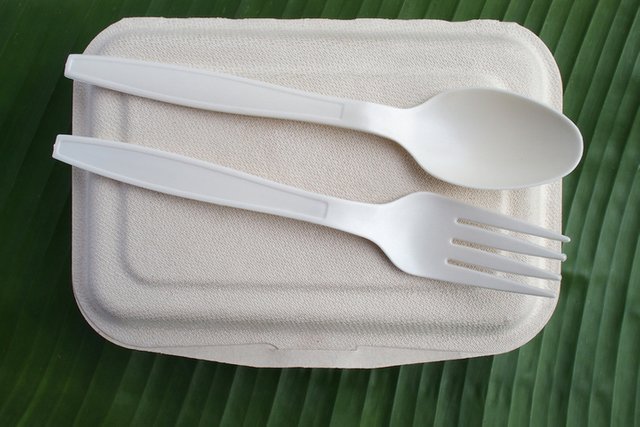 Biodegradable Plastic Market.jpg