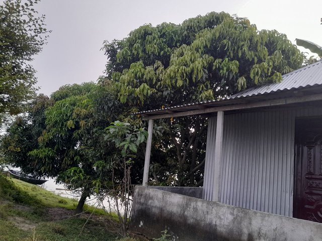 1000087753.jpg