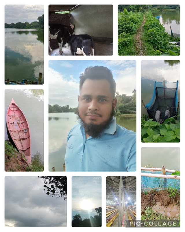 Collage_2025-07-29_21_47_51.jpg