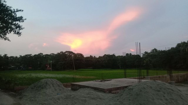 IMG_20250614_081528_873.jpg