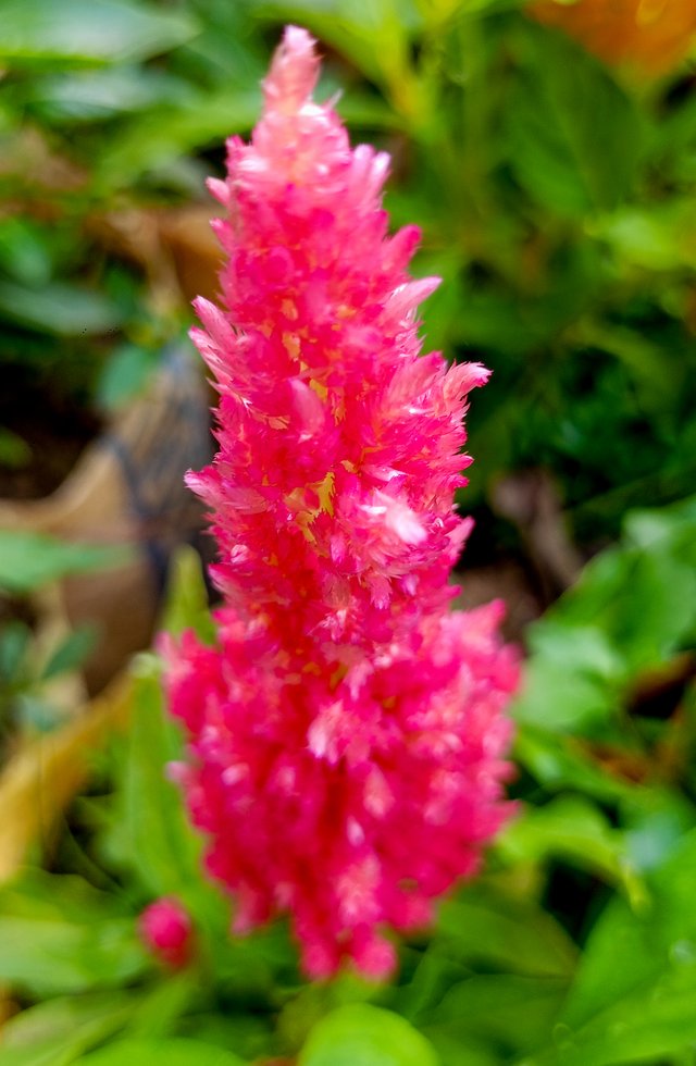 IMG20250116134912.jpg