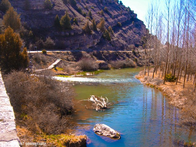 DSCN7691_edited.jpg