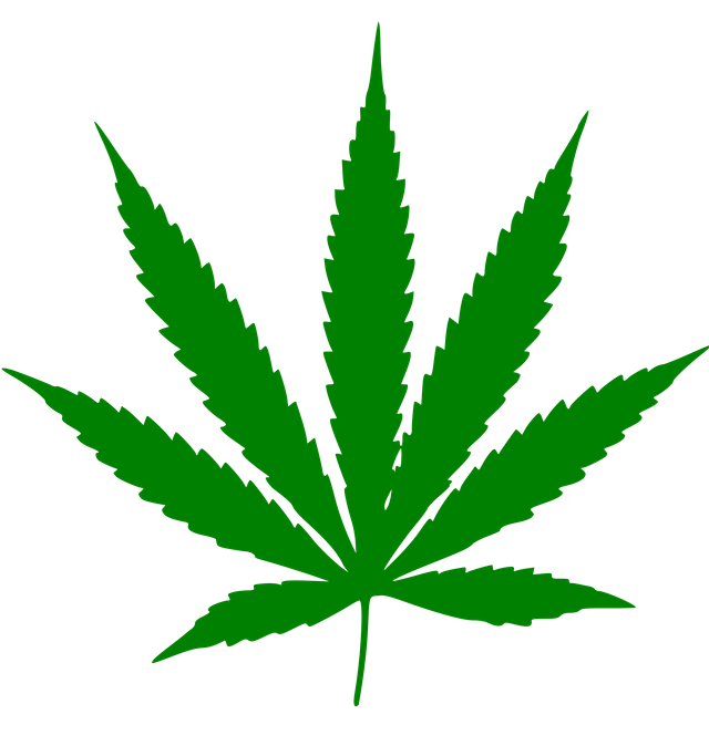 Cannabis_leaf.svg.png