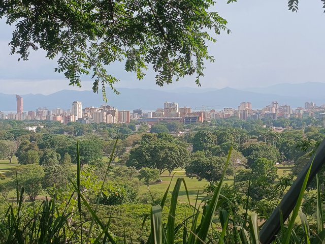 1000436169.jpg