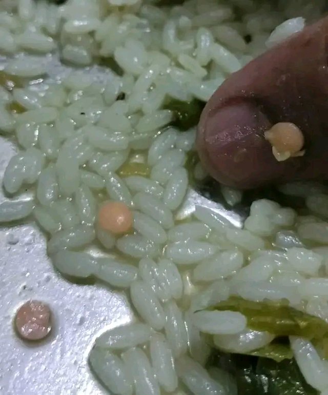 81146.jpg