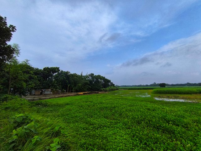 IMG_20250706_063718.