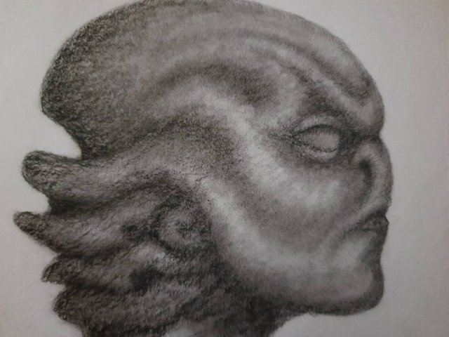 20250514_114043.jpg