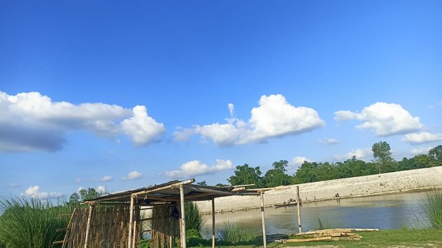 1000039373.jpg