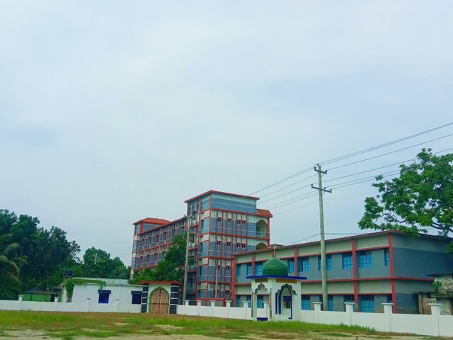IMG_20250522_200216.jpg