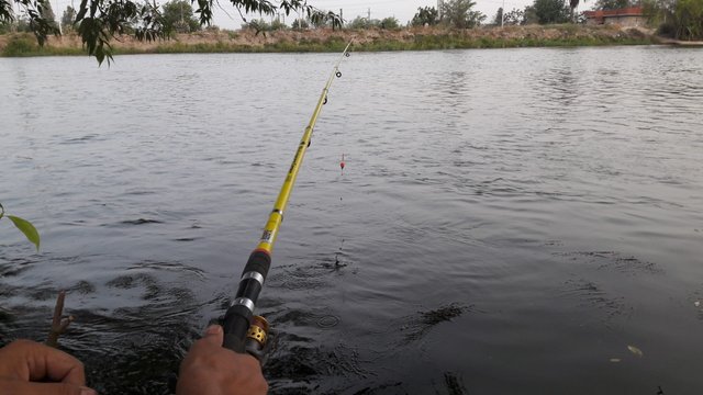 الصيد-النهري-scaled.jpg