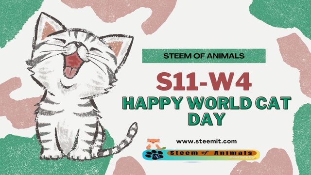 #steemofanimals-s11w4.jpg