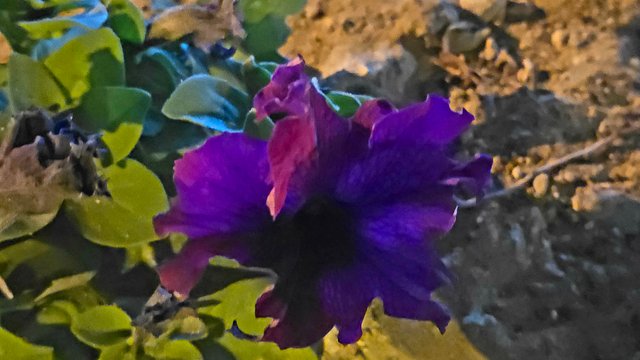 20250208_022041_008.jpg