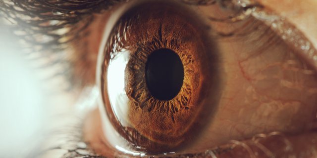 eye-macro-close-up-1200x600.jpg