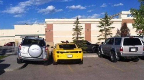 dick-parking(1).jpg