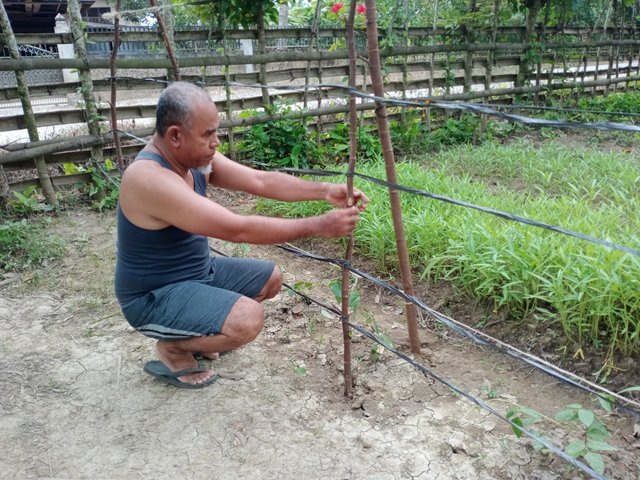 IMG20250626180211.jpg
