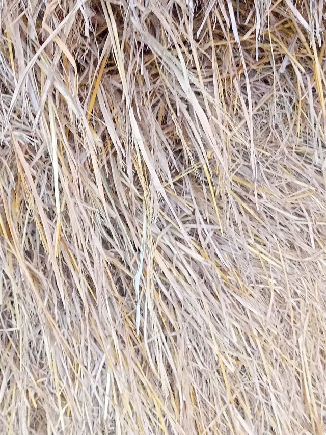 IMG20250825175923.jpg