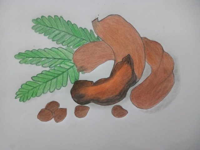 Tamarind (3).jpg