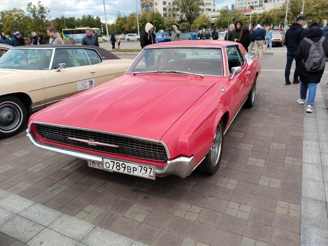 IMG_20250510_123231.jpg