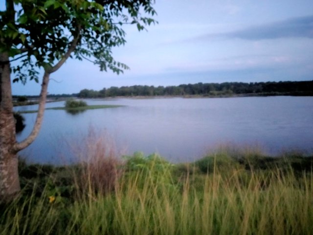 IMG20250529185556.jpg
