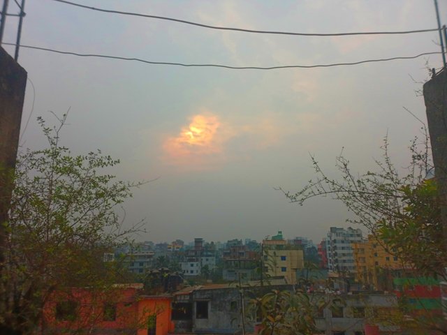 20250226_162919.jpg