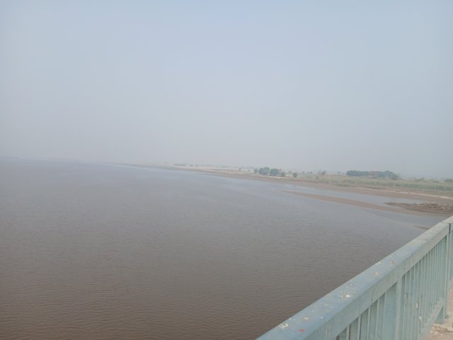 1000095711.jpg