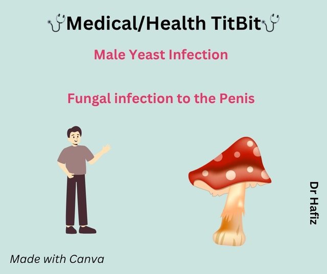 Penile Yeast Infection.jpg