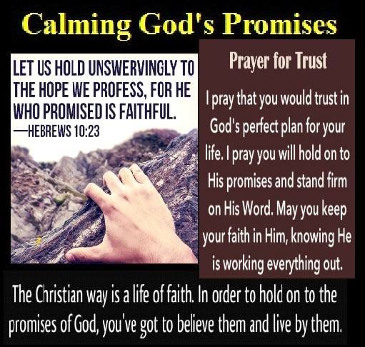 Calming God’s promises  Hold fast to the promises..jpg
