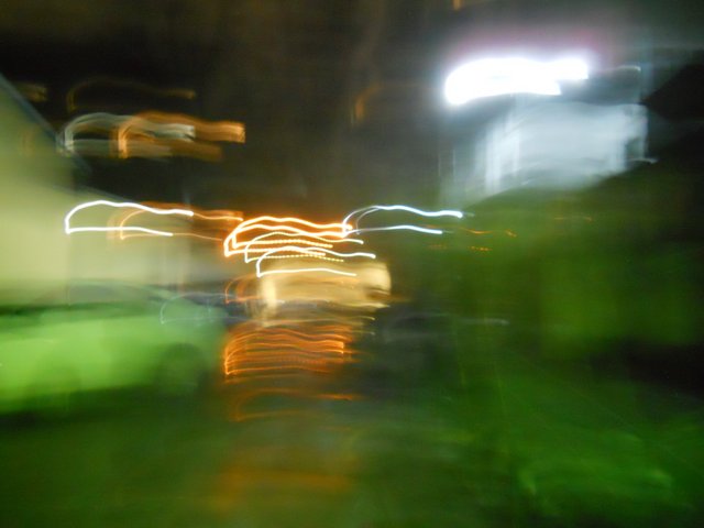 DSCN0042.JPG