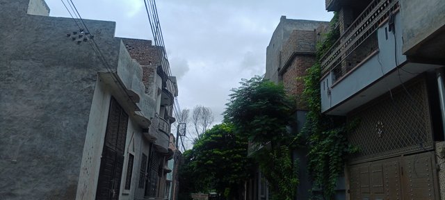 IMG_20250902_105739_104.jpg