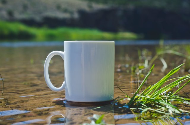 A solo white coffee mug on the water of the green river.JPG