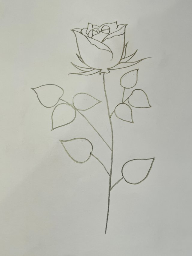 IMG_2751.jpeg