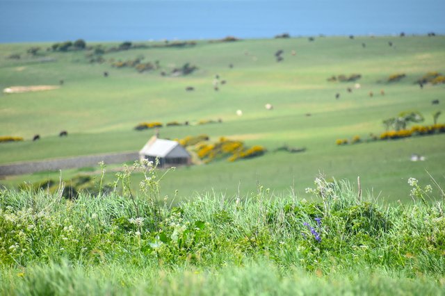 DSC_0385.JPG