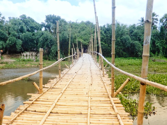 Bamboo Bridge.jpeg