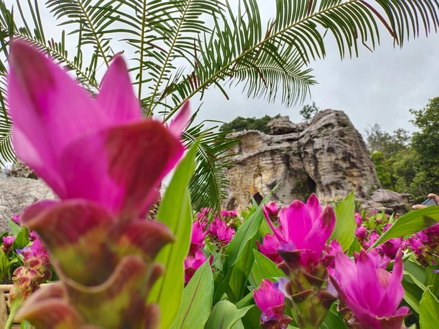 Chaiyaphum58.jpg