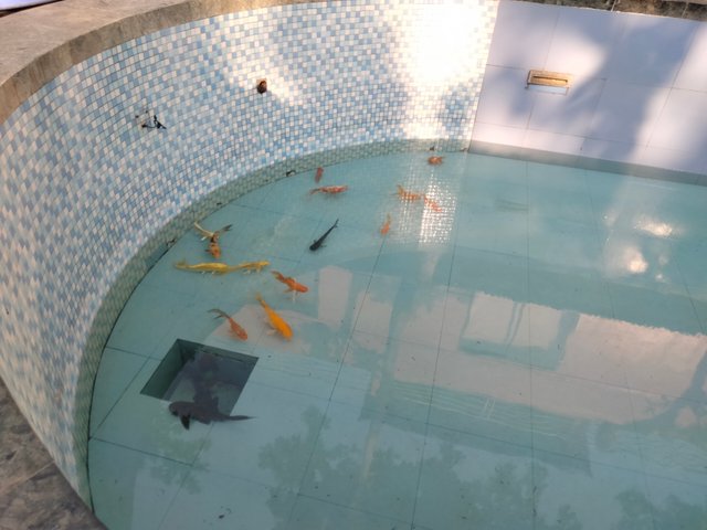 IMG20250409160752.jpg