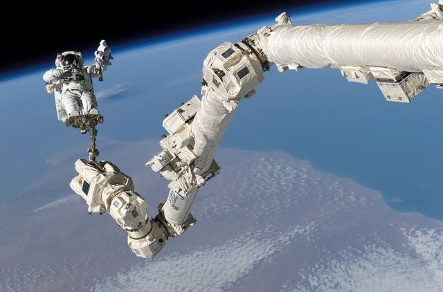 STS-114_Steve_Robinson_on_Canadarm2.jpg