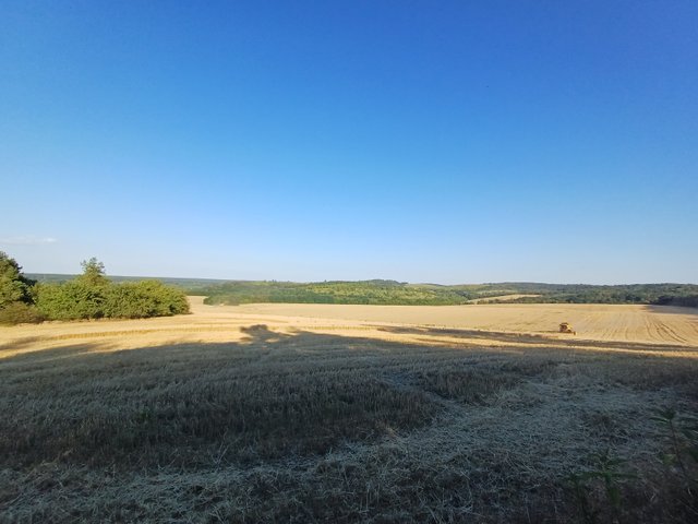 20250802_182205.jpg