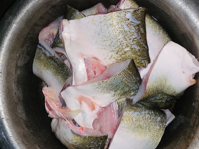 fish 1 image .jpg