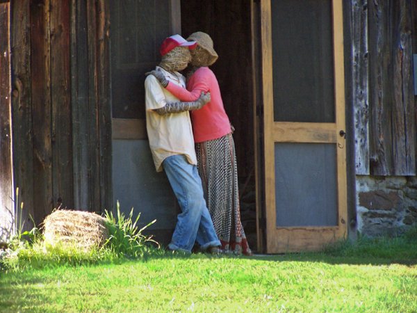 Milk run - scarecrow2 crop September 2019.jpg