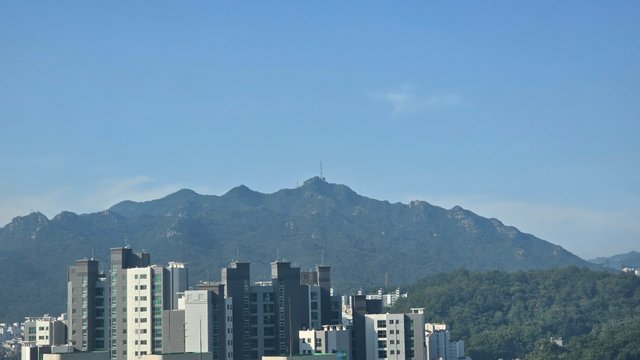 1000127535.jpg