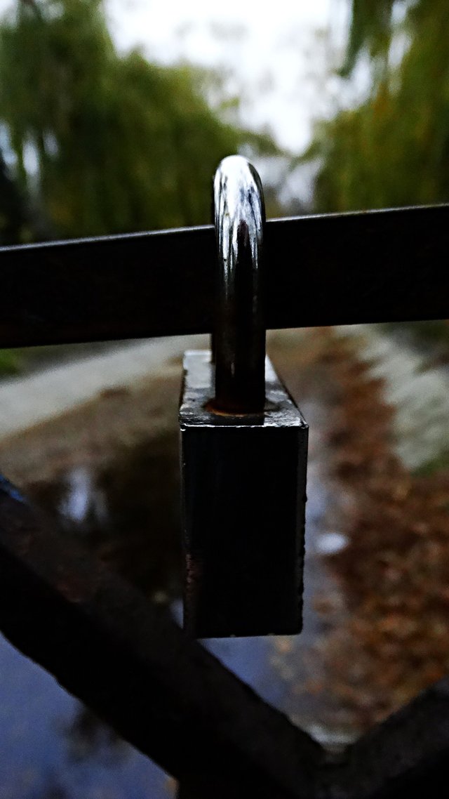 1zamDSC01477.JPG