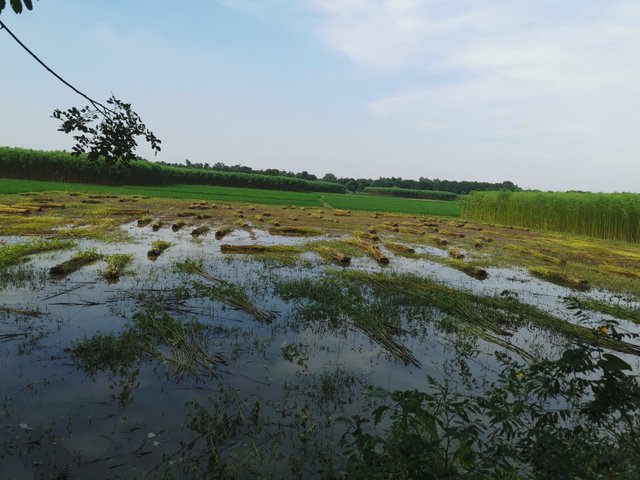IMG_20240906_145637.jpg