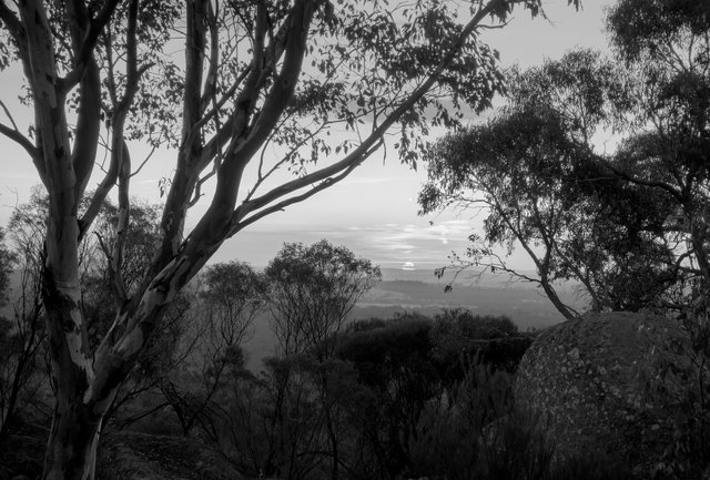 20250508_173408.jpg