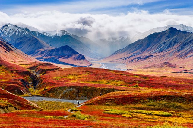 1-Denali-National-Park-BH4FWY-1590x1050.jpg